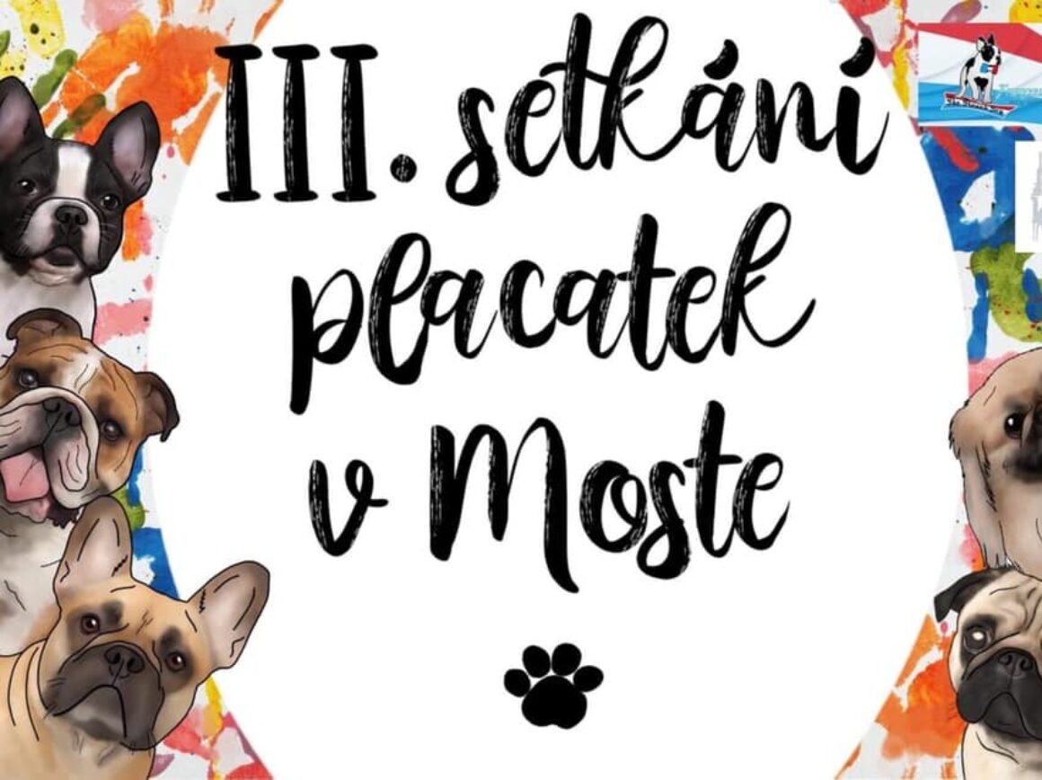 setkani placatek v mostě